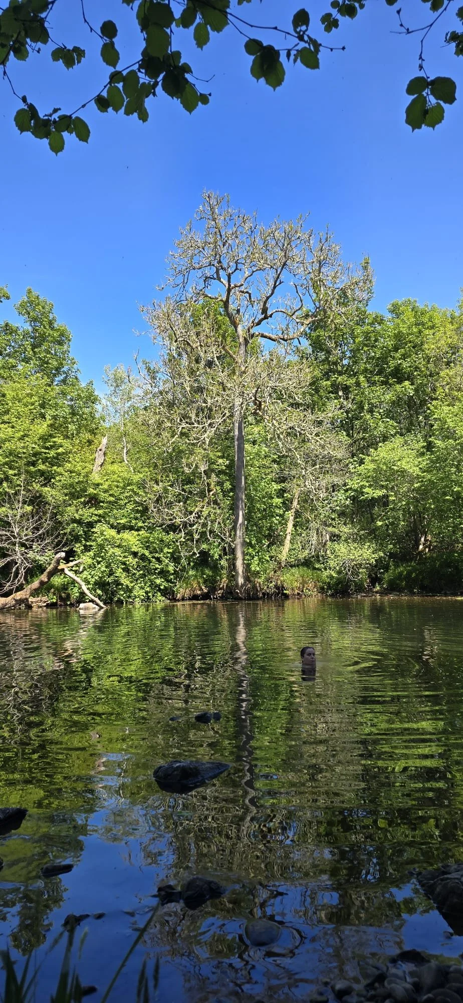 Nature Unlimited photo 16.jpeg