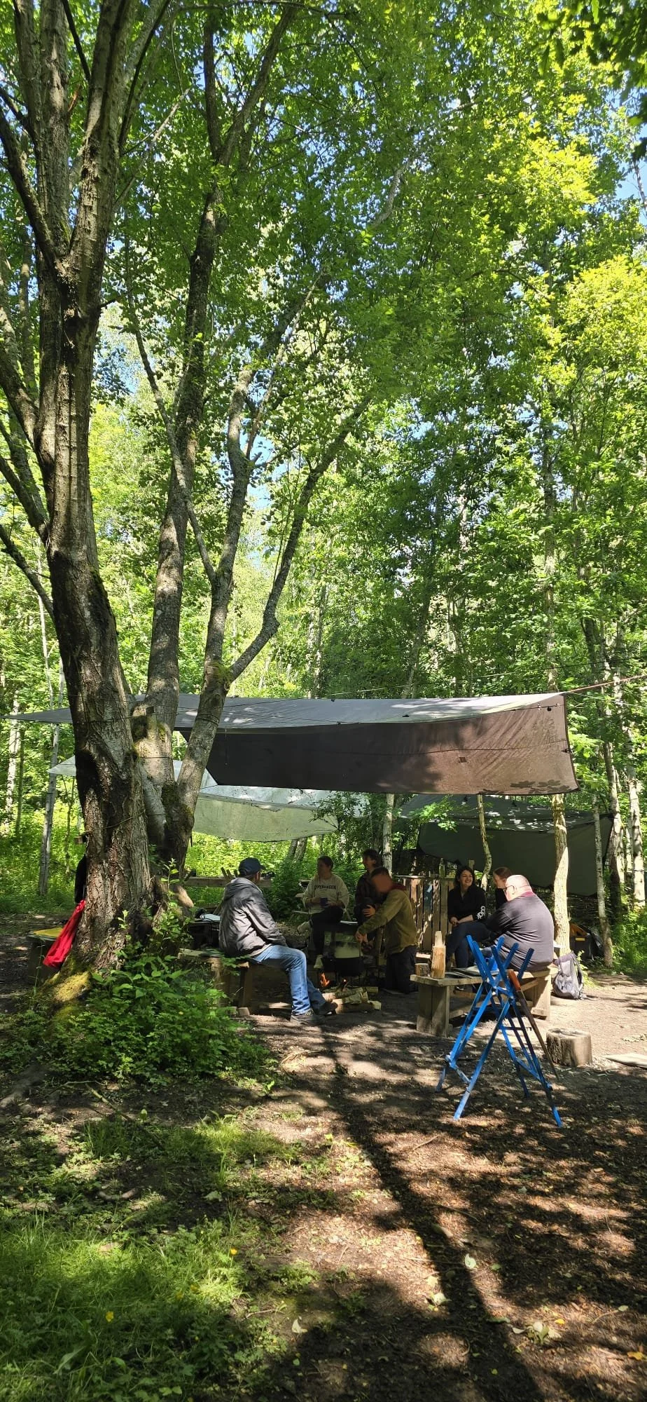 Nature Unlimited photo 21.jpeg