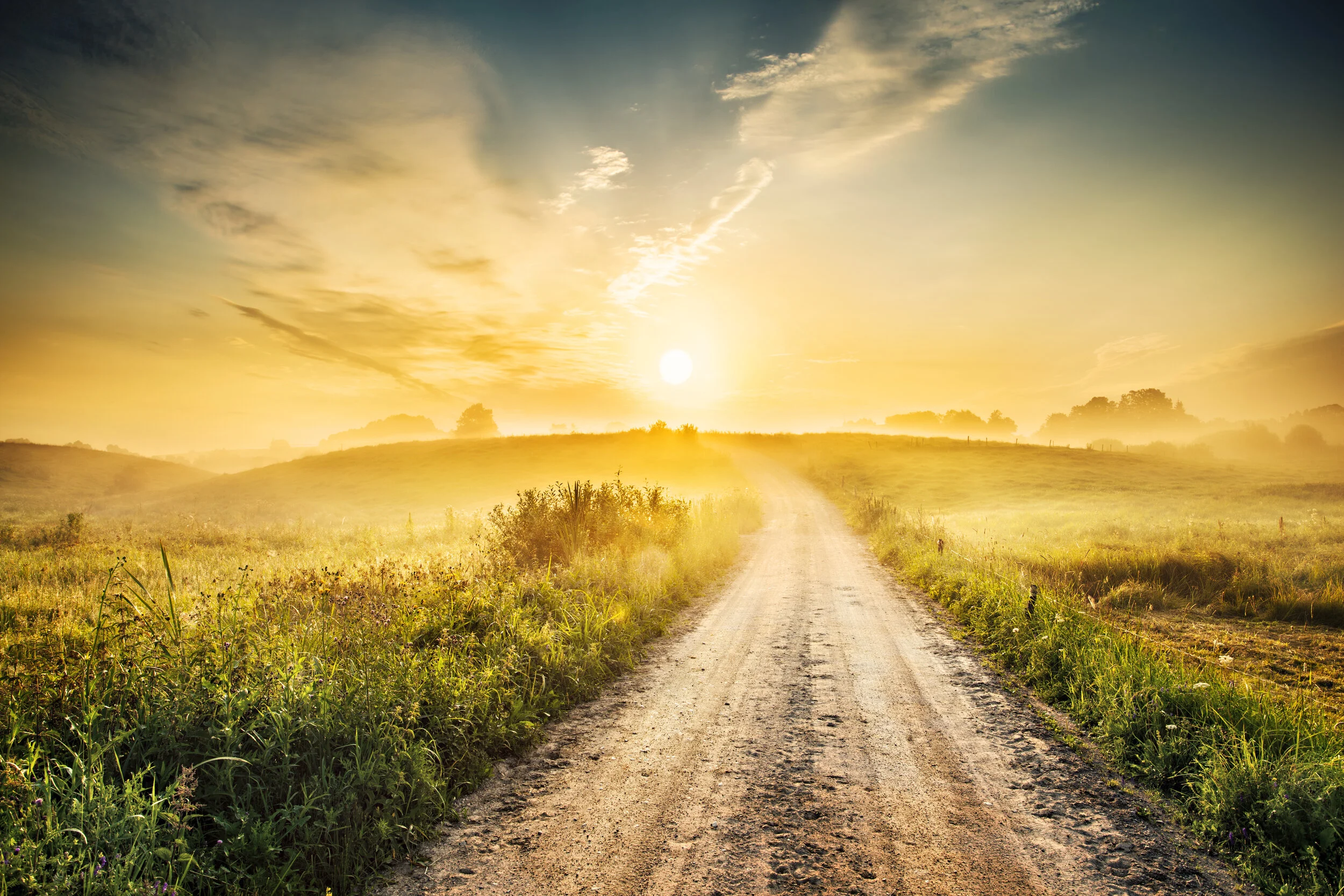 iStock-175219420.jpg