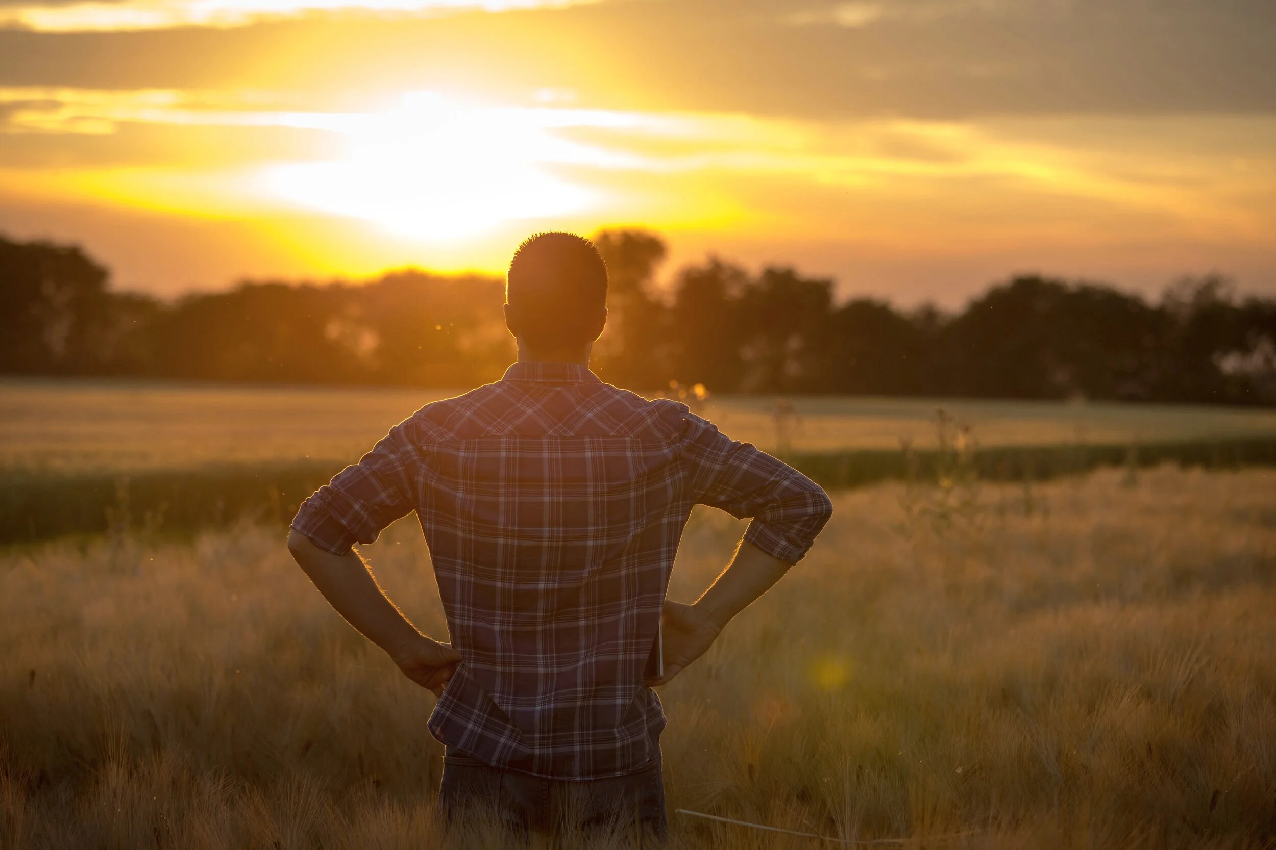 iStock-800468142.jpg