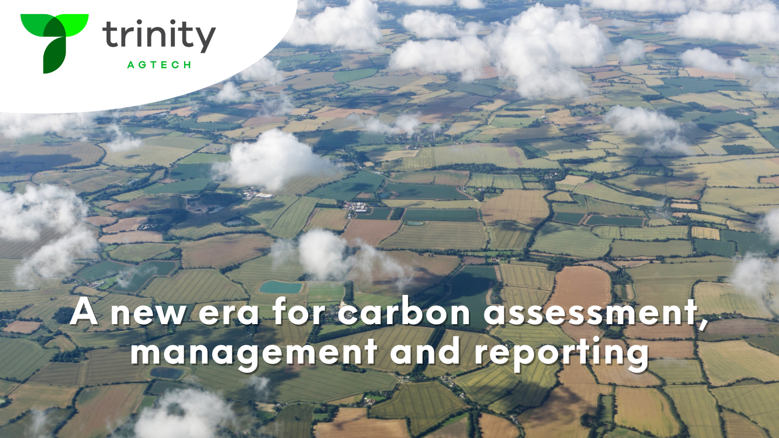 Embracing change: The ‘Collective Era’ post-Defra report