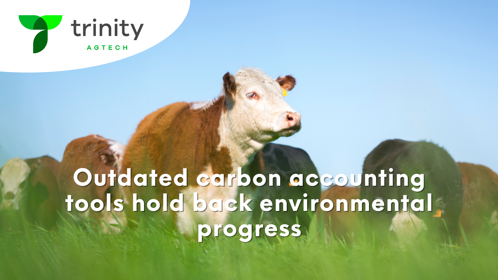 Outdated carbon accounting tools hold back environmental progress