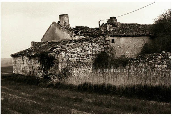 landscape3.jpg