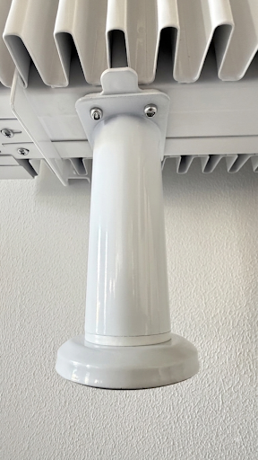 Dynamo Standfuss 02.png