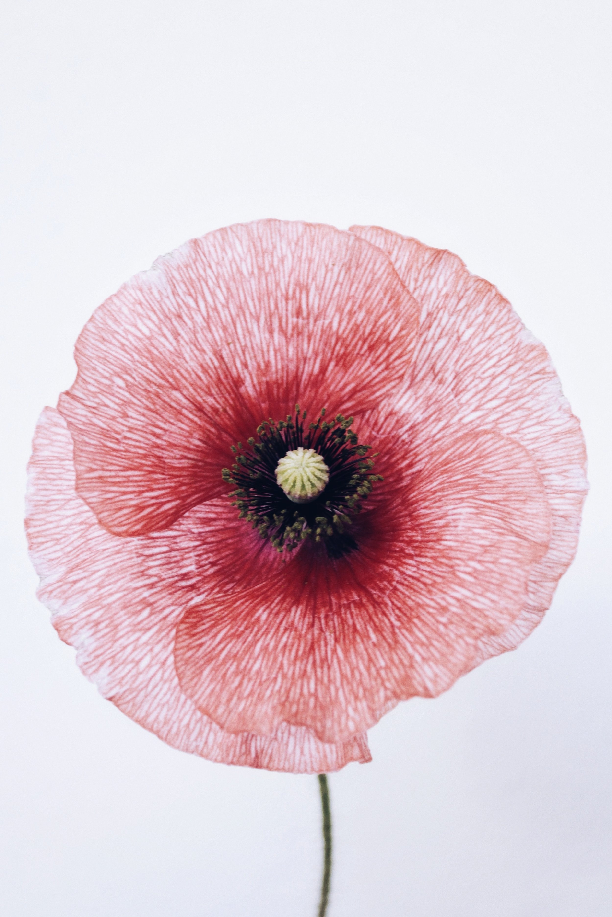 Remembrance
