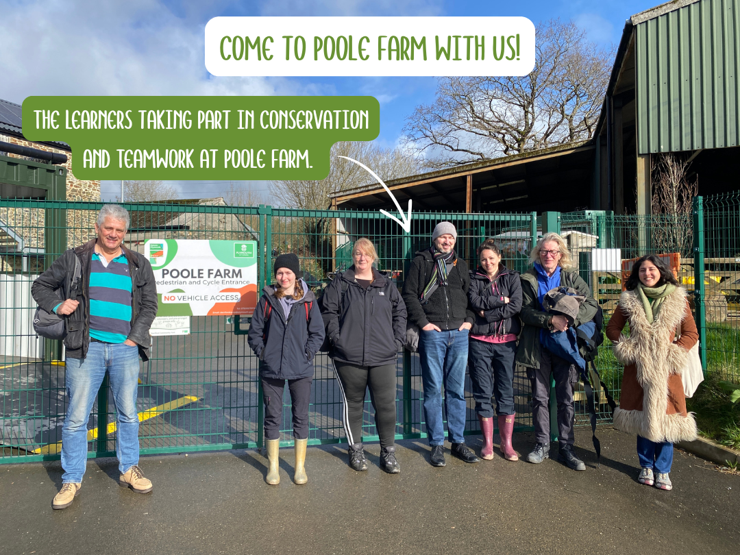 Real Learning, Real Impact: Our Sustainability Champions at Poole Farm