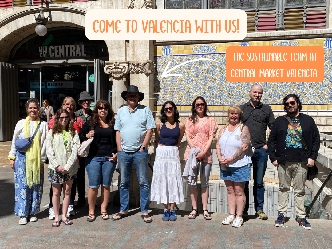 More Than a Study Visit: Living Sustainability in Valencia