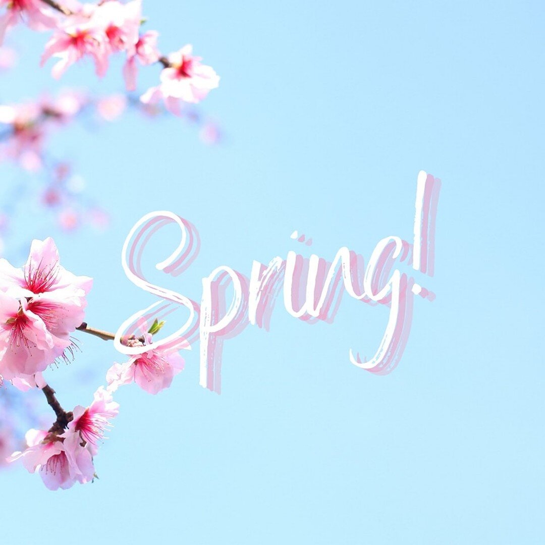 Spring has sprung 🌿🌸