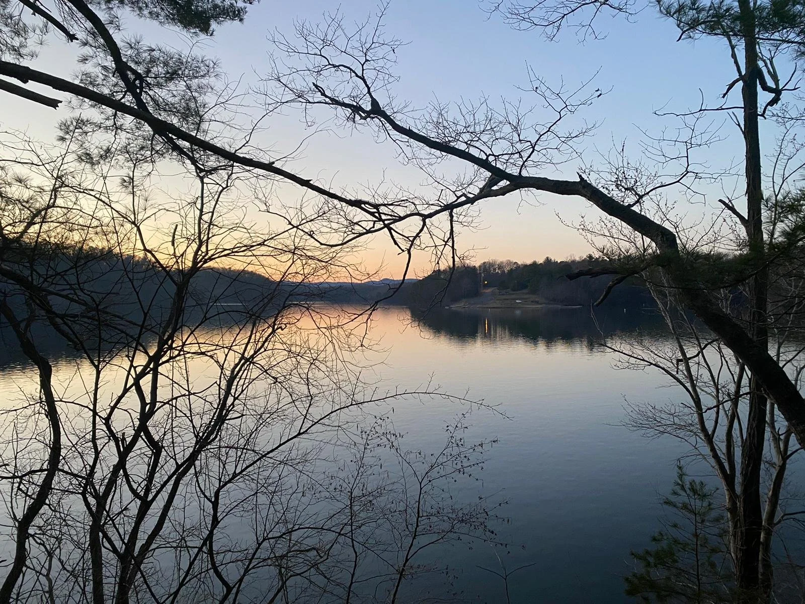 Pisces New Moon Newsletter