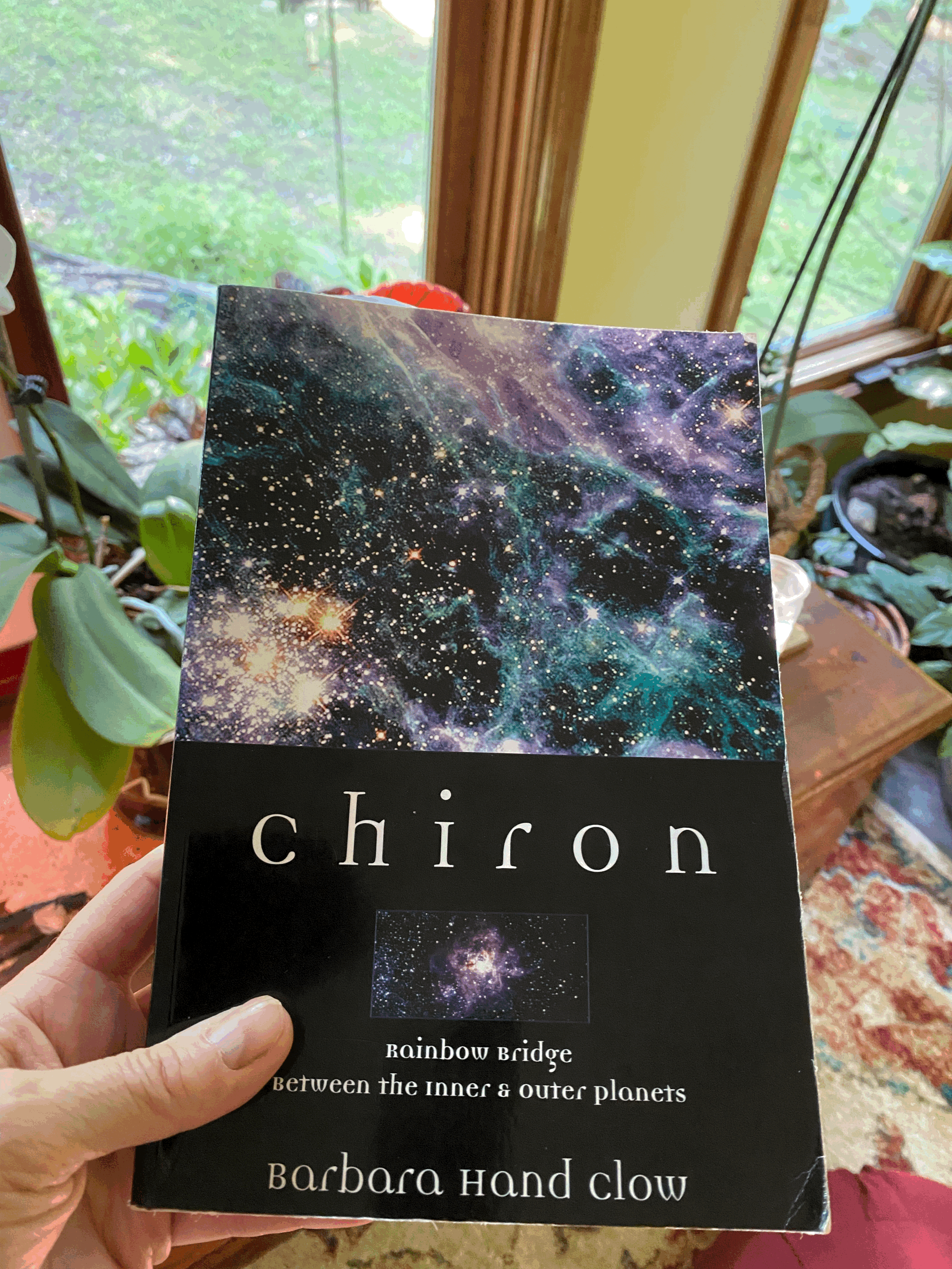 Book Recommendation: Chiron