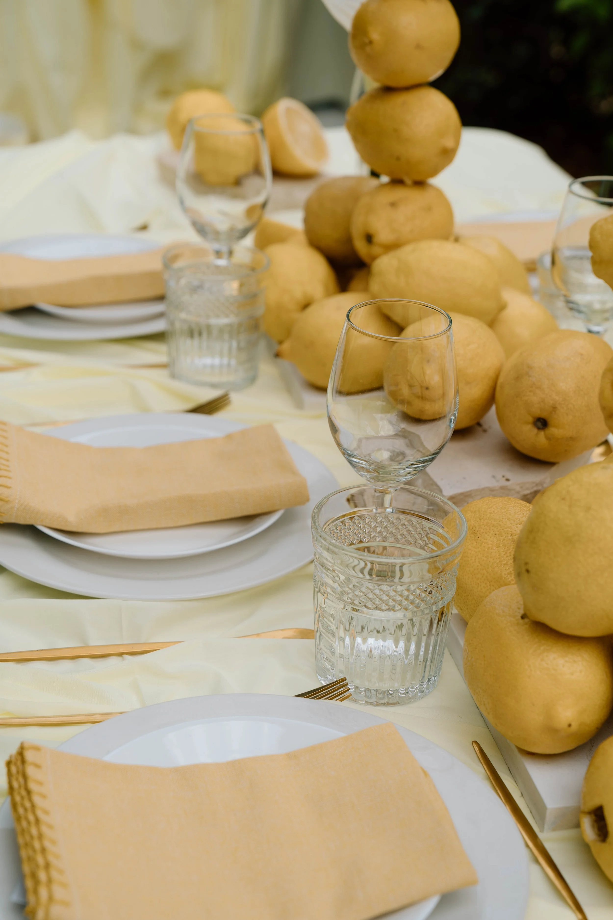 Lemon Shoot- Daphne Sky Studios-11.jpg