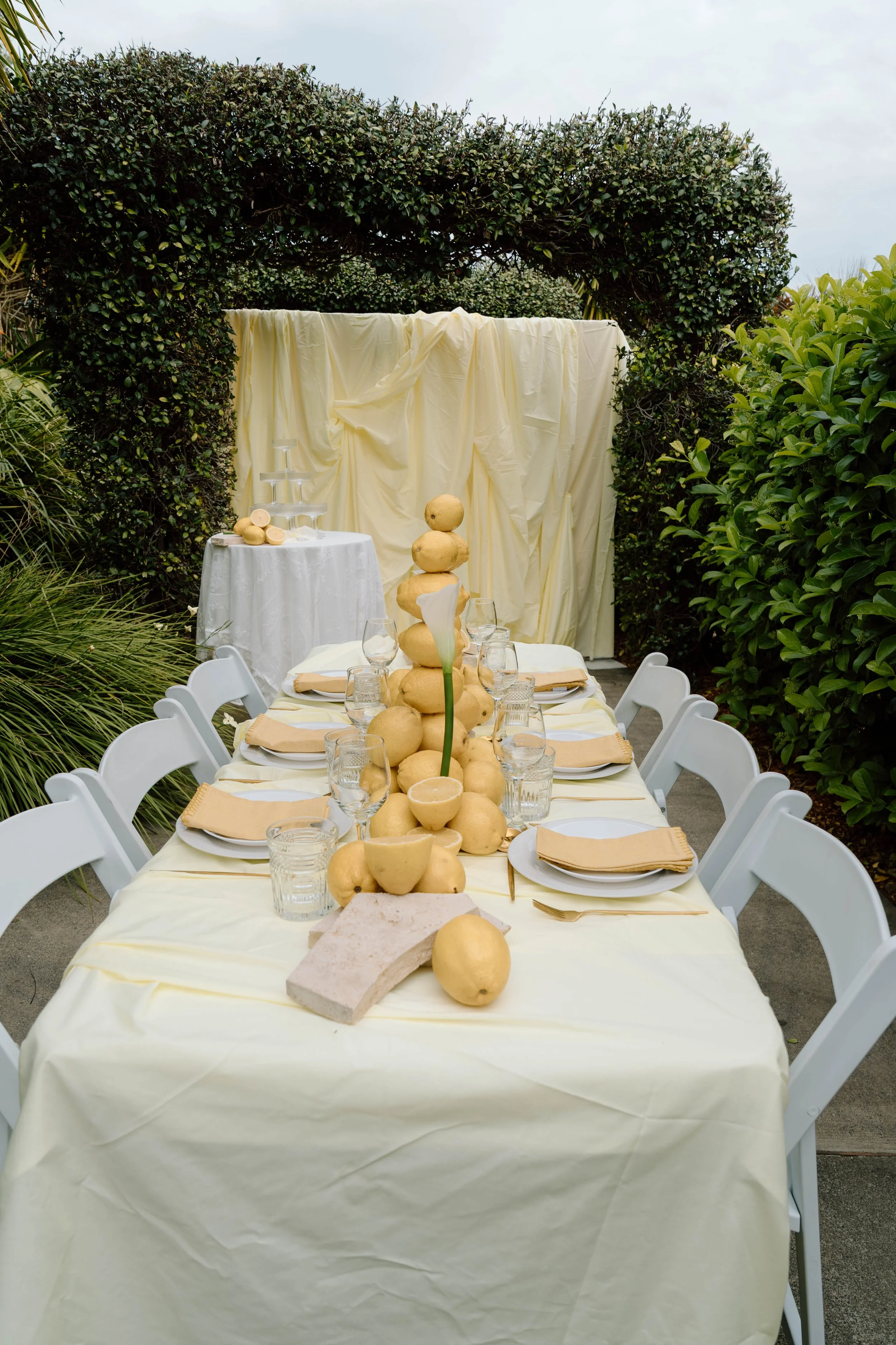 Lemon Shoot- Daphne Sky Studios-6.jpg