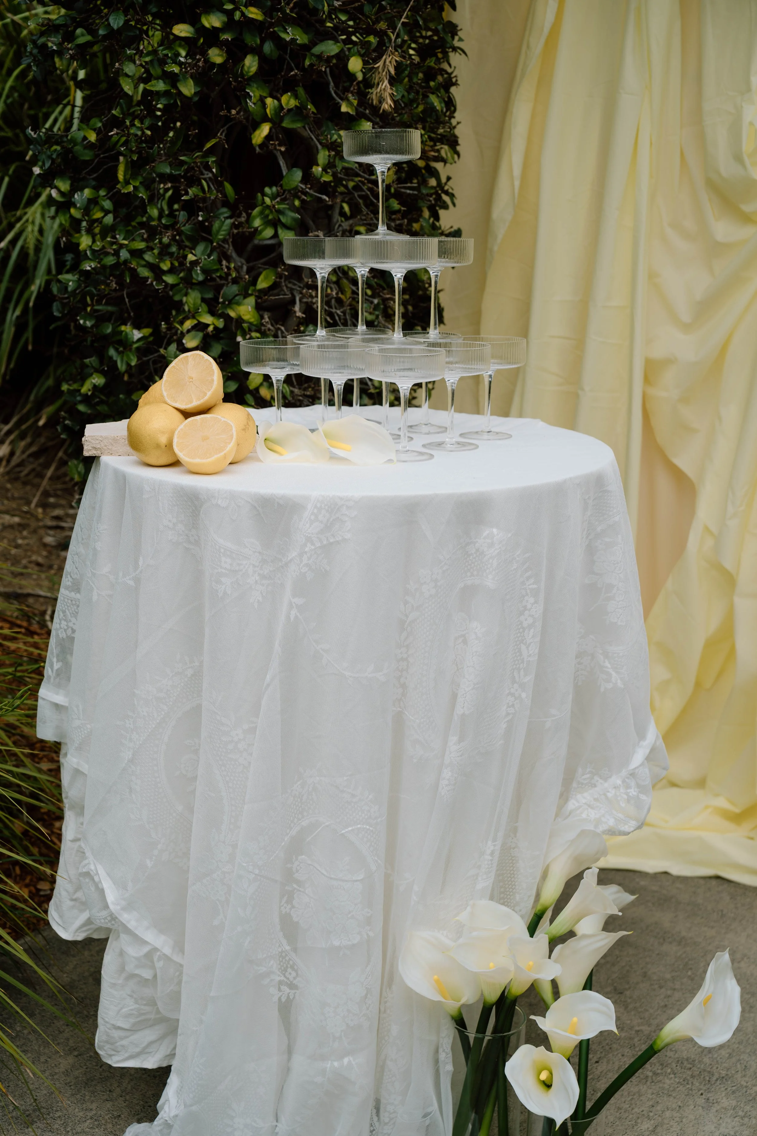 Lemon Shoot- Daphne Sky Studios-12.jpg