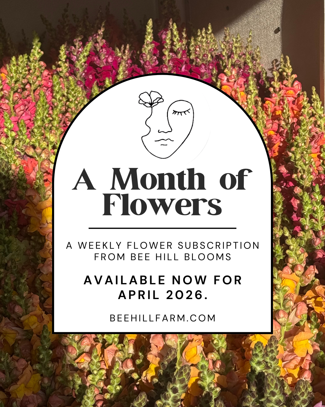 A Month of Flowers