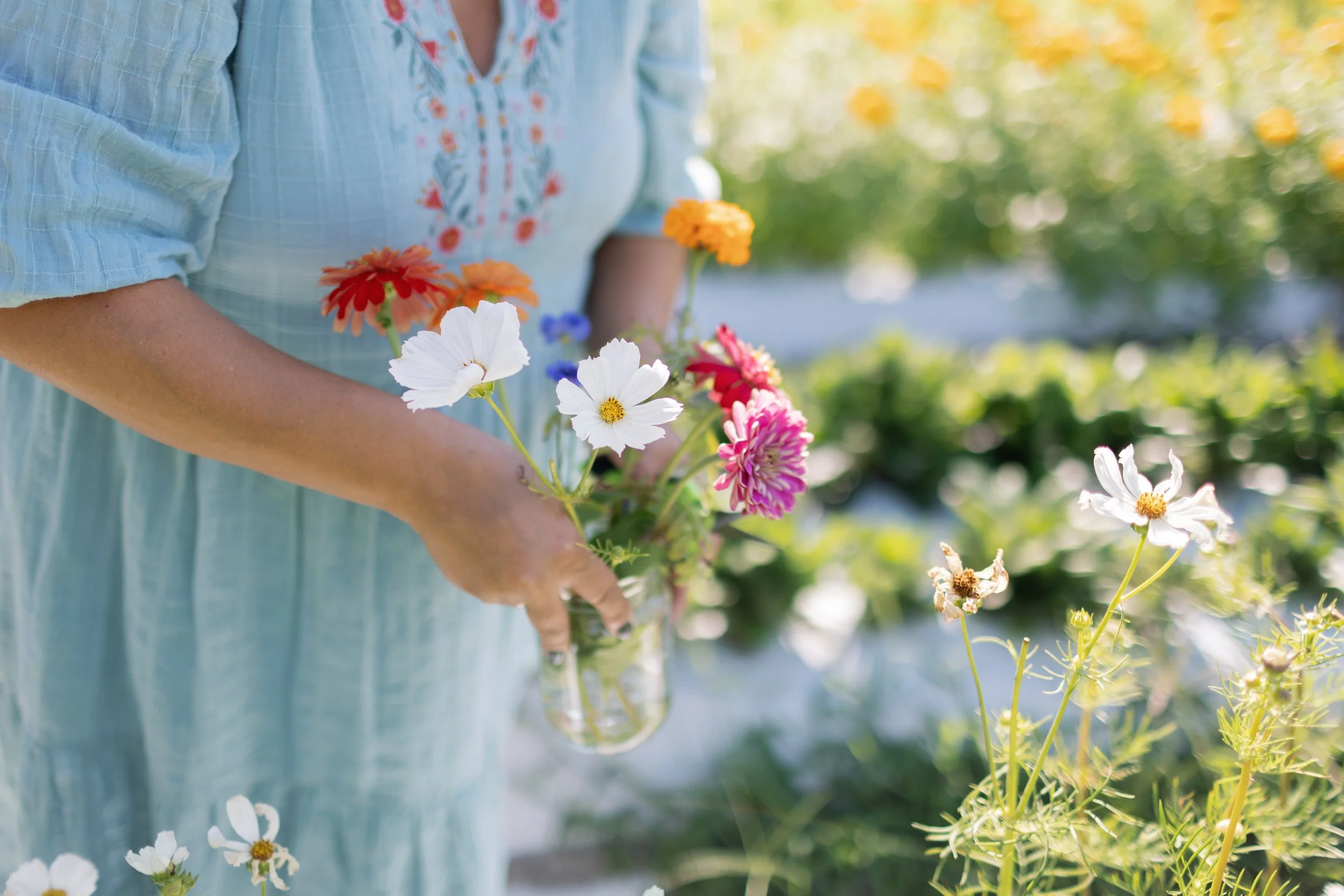 beehillblooms2022-86.jpg