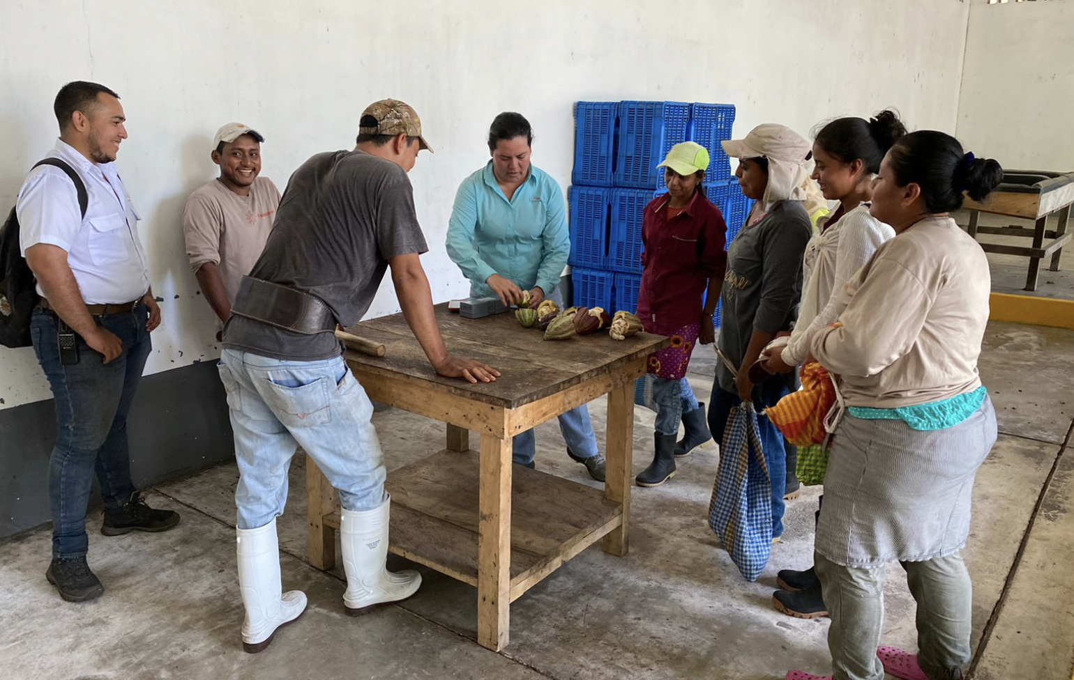 Captura de pantalla 2025-02-10 a la(s) 2.03.31 p. m..png