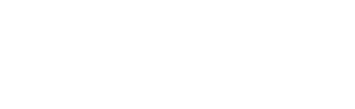 𝐕𝐞𝐢𝐥 𝐀𝐫𝐭