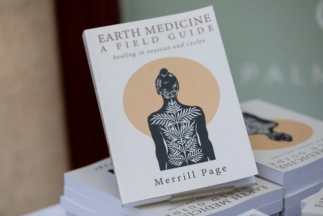 Cover Image Book1.jpg