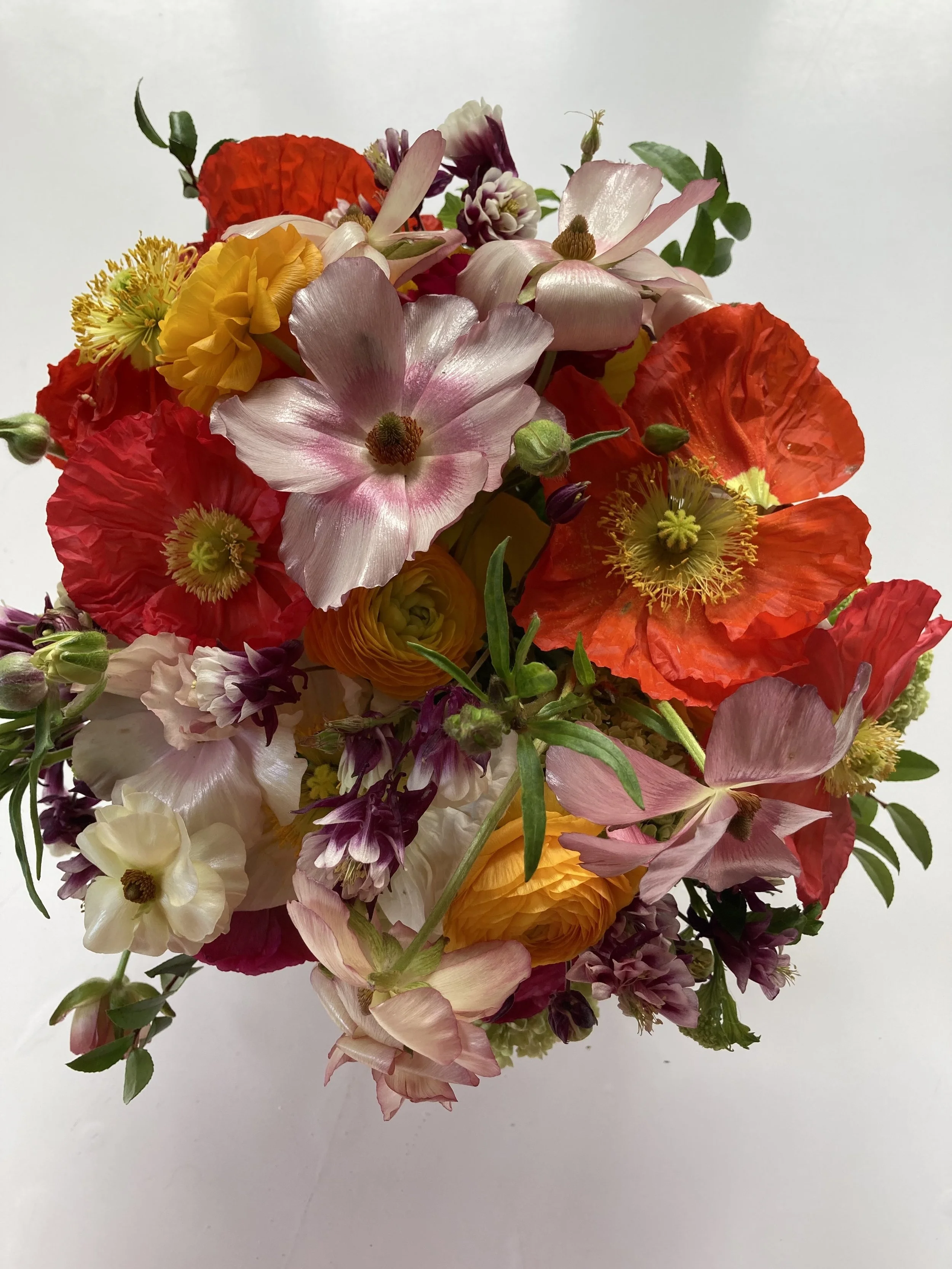 Mother's day 2026.jpg