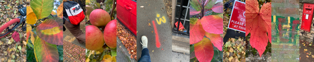 Walking Motivation: Try A Colour Walk! — Bodyspace Movement