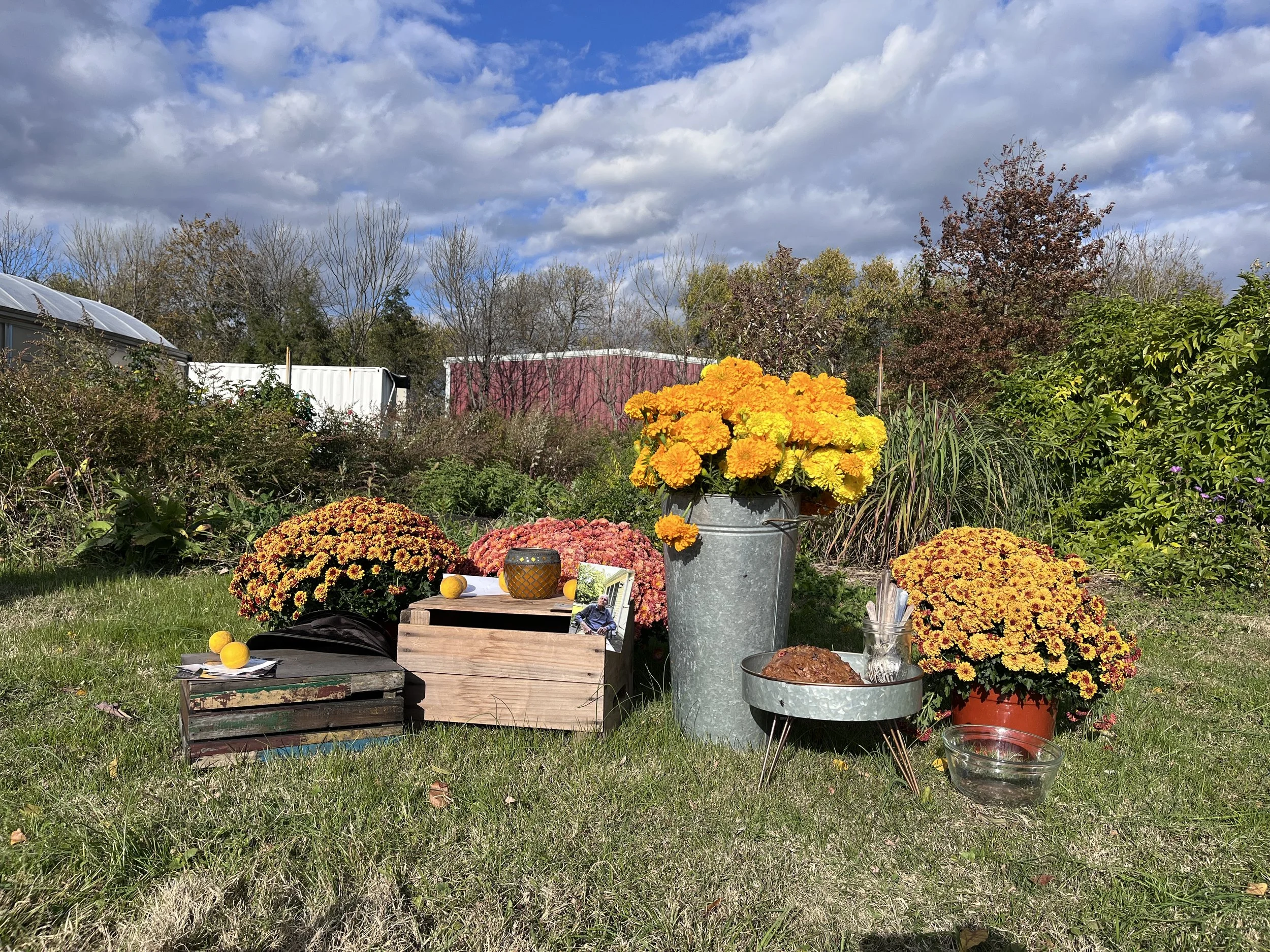 Samhain Altar.jpeg