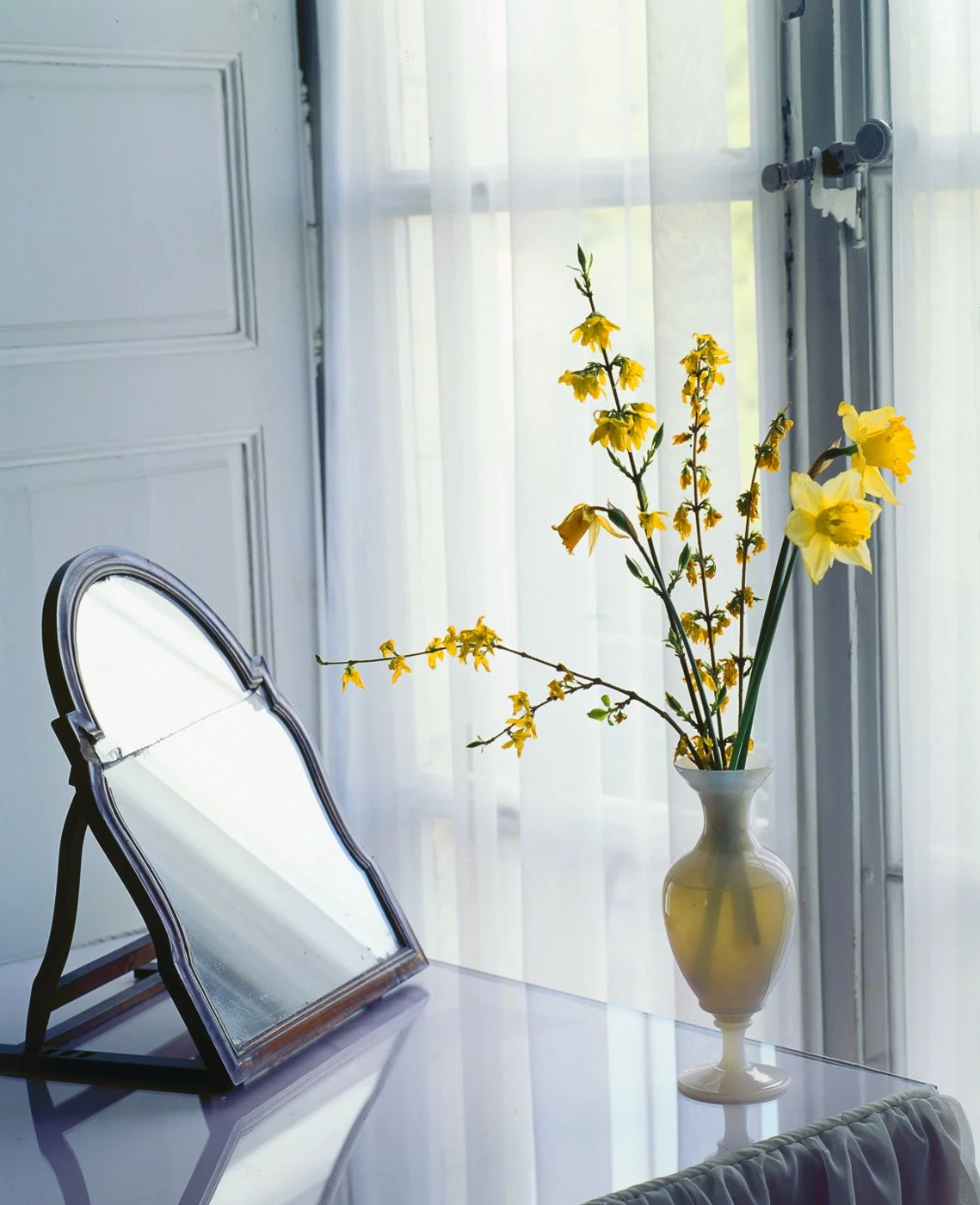 FLOWER'S REFLECTION
