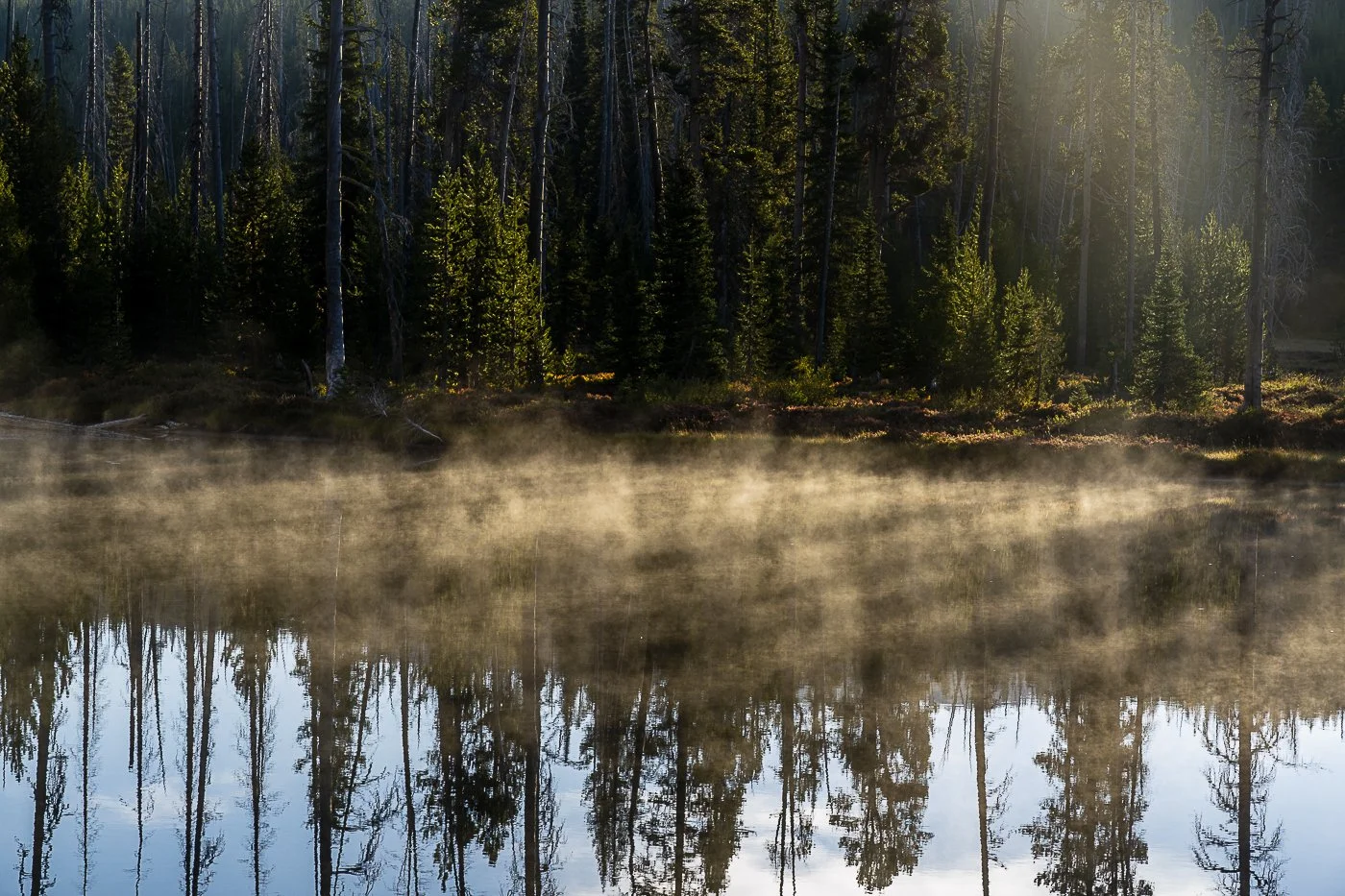 AUTUM'S FIRST  HELLO