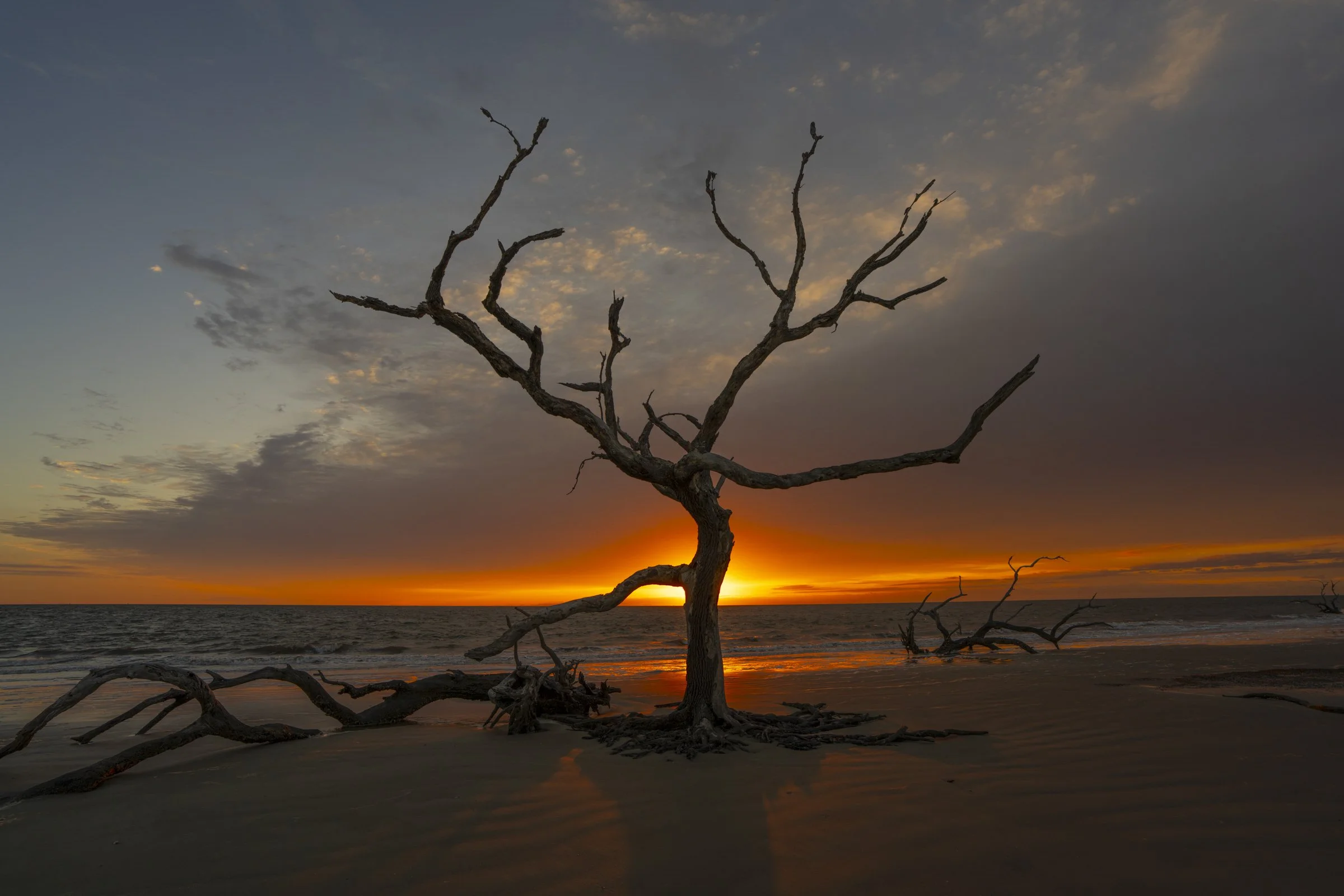 America The Beautiful