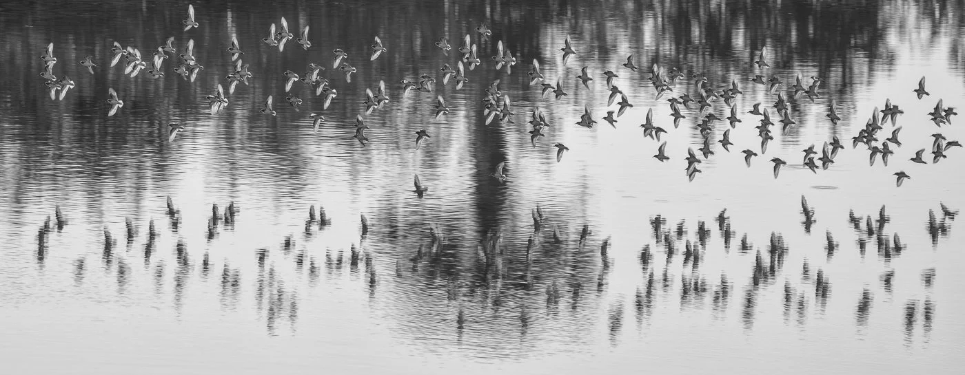 CIRCLING UP TOGETHER