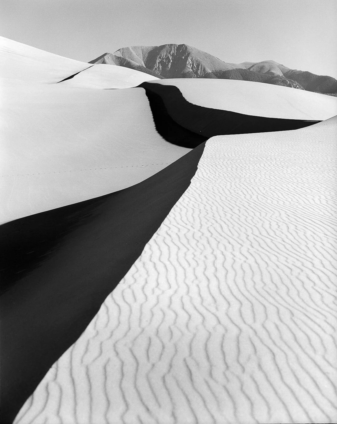 DESERT'S EDGE