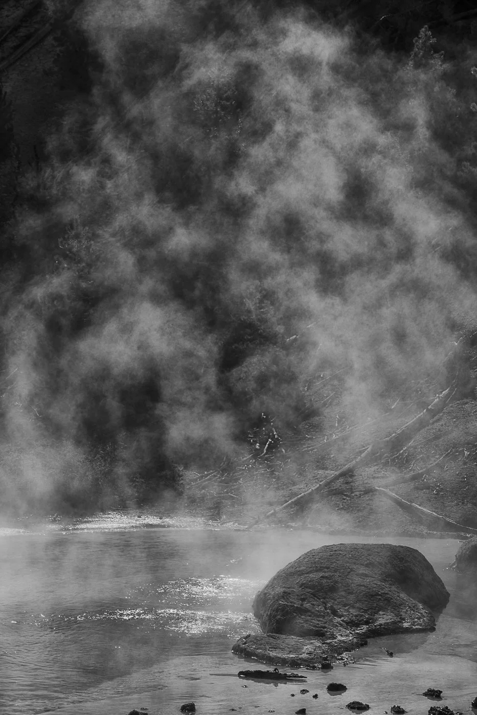 THE MORNING'S STEAM