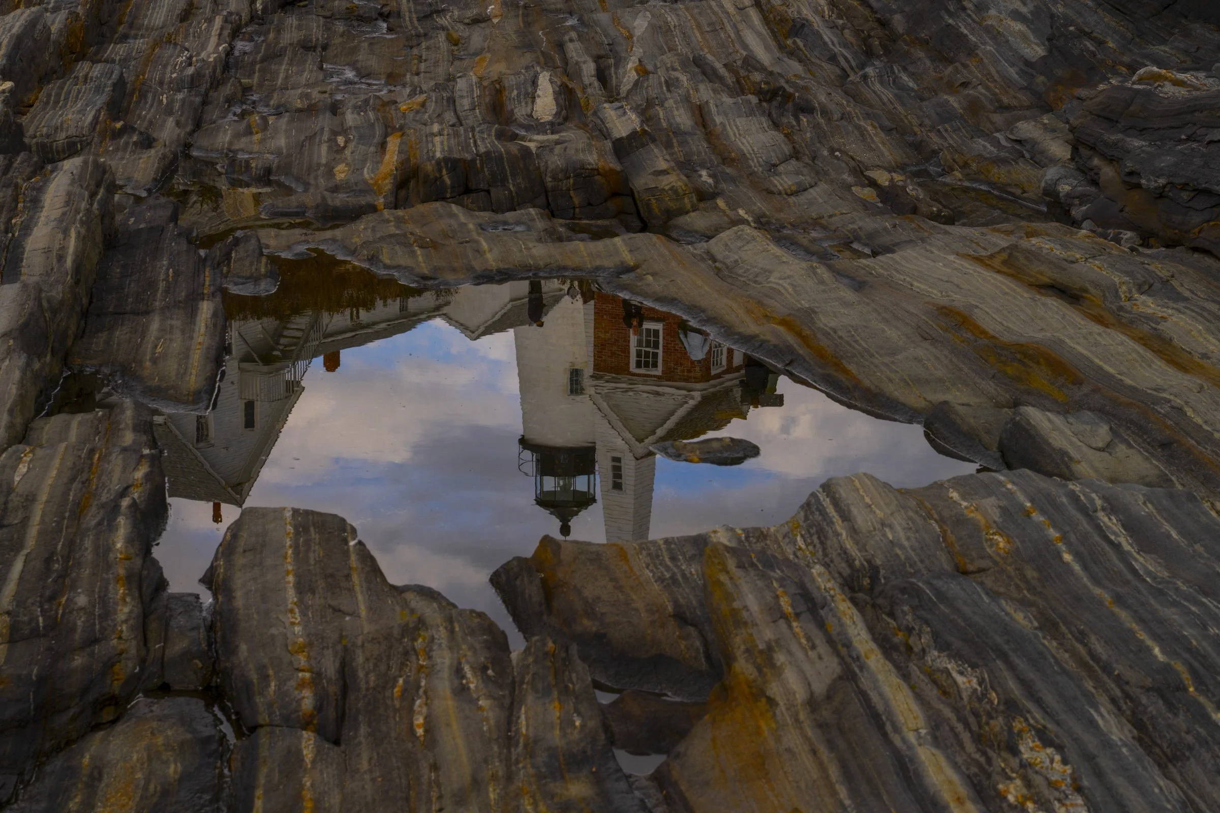 SAFE HARBOR REFLECTS