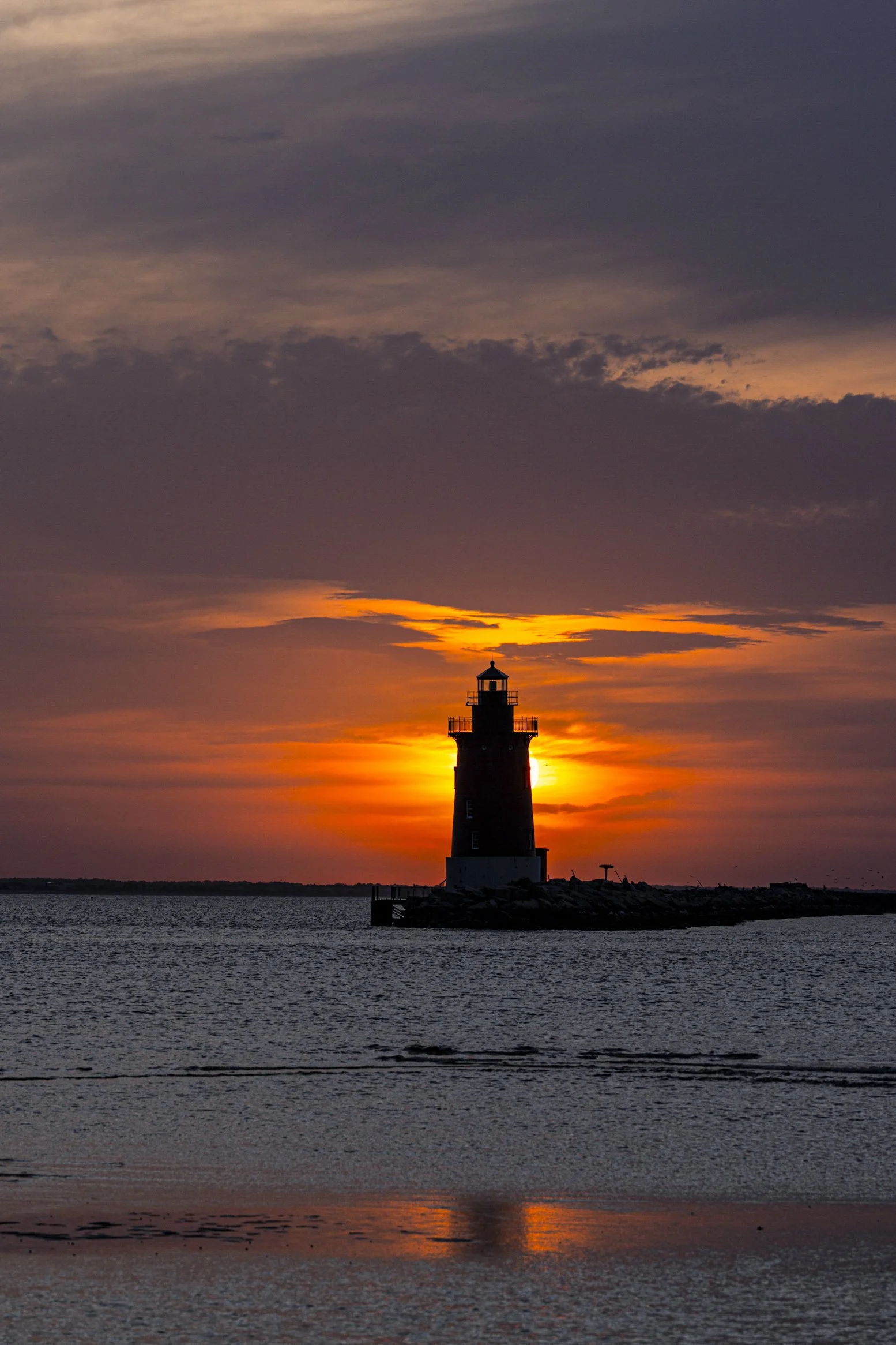 The Night's Guardian