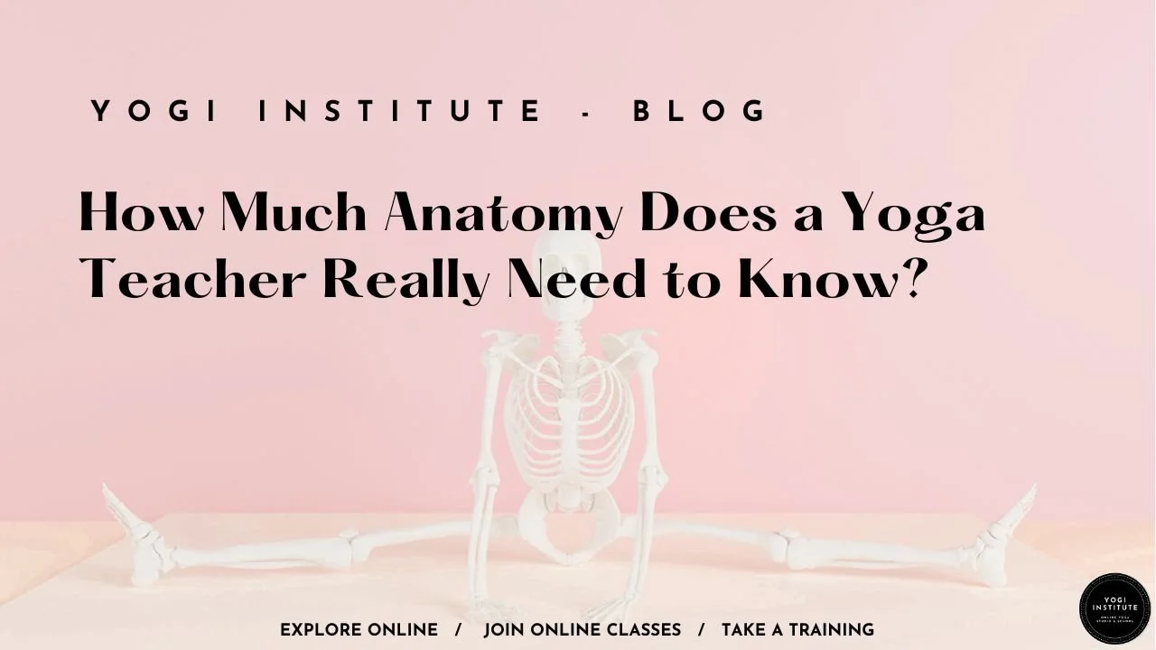 How Much Anatomy Does a Yoga Teacher Really Need to Know?