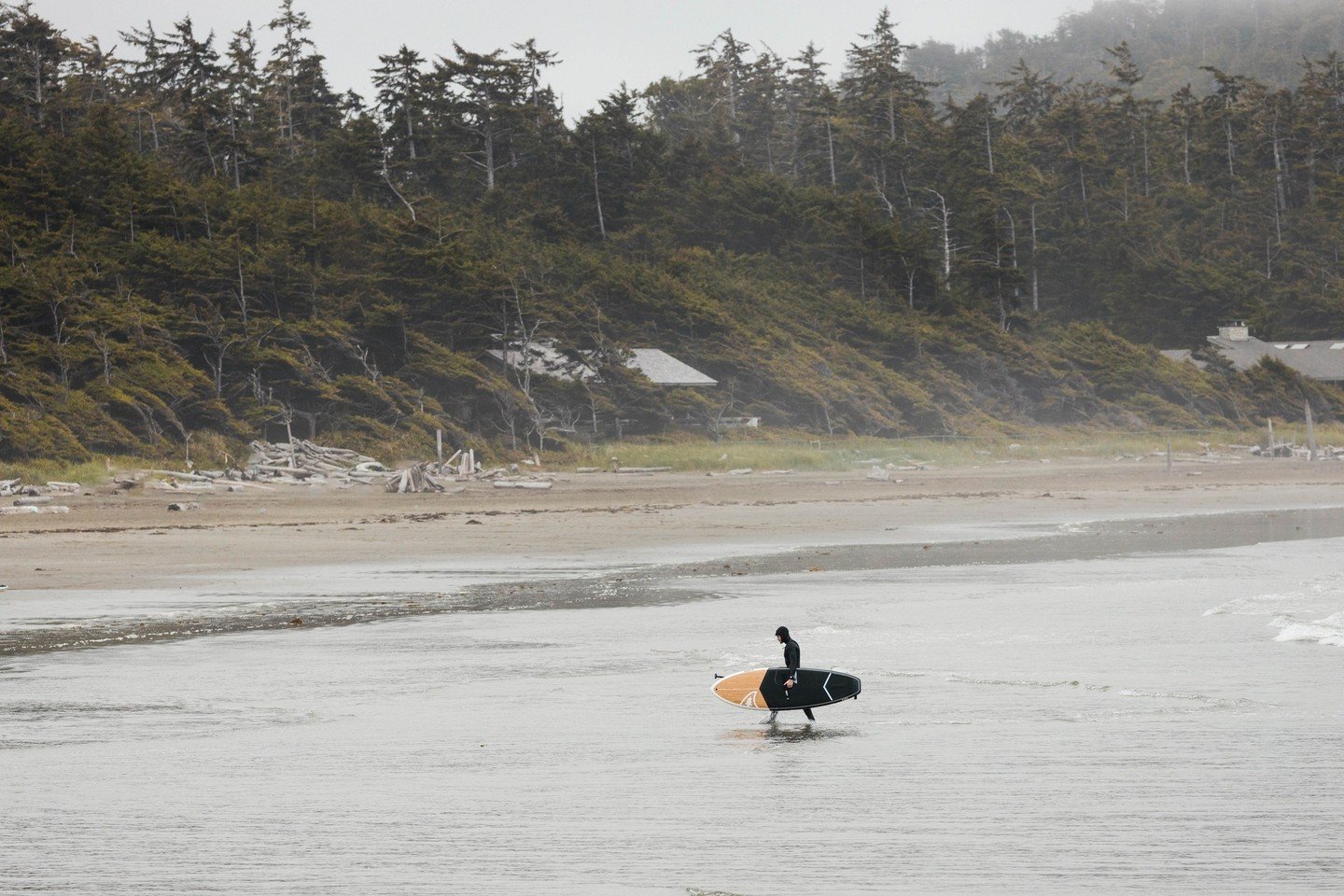 EL PEPITO 8'0'' for @taigaboard