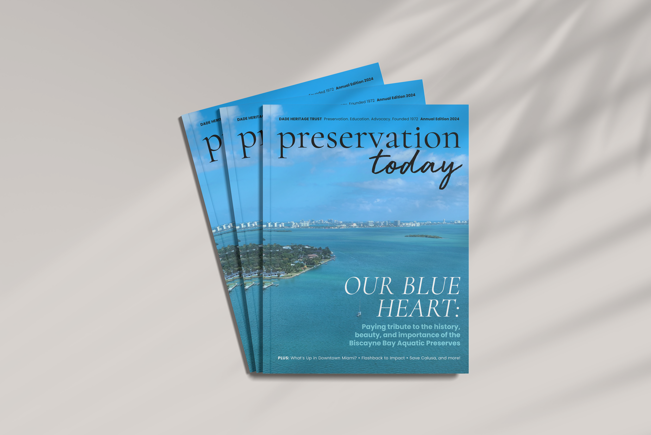 DHT-Cover-Magazine-Thumbnail-2.png