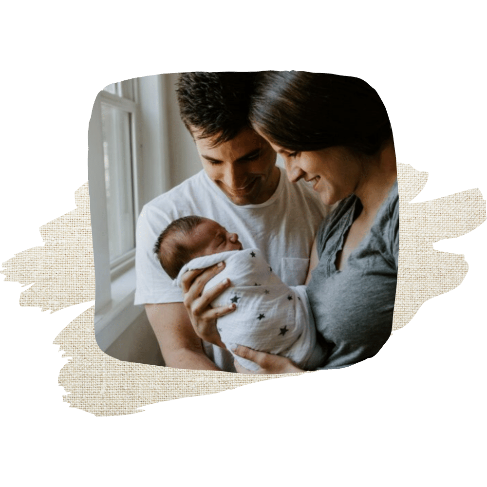 Services — Living Lactation Certified Lactation Counselor Near Boston