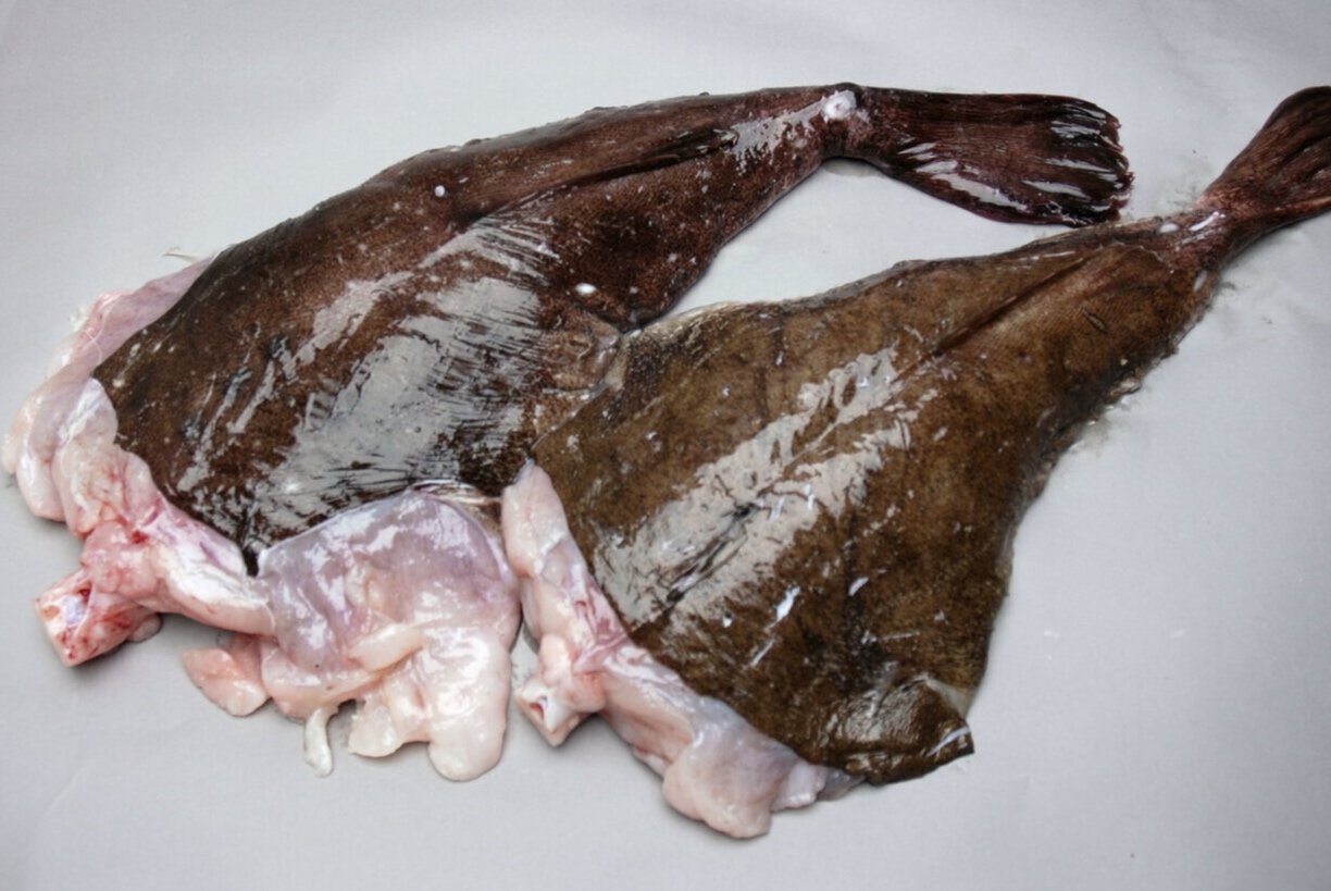 Fresh Monkfish Tails
