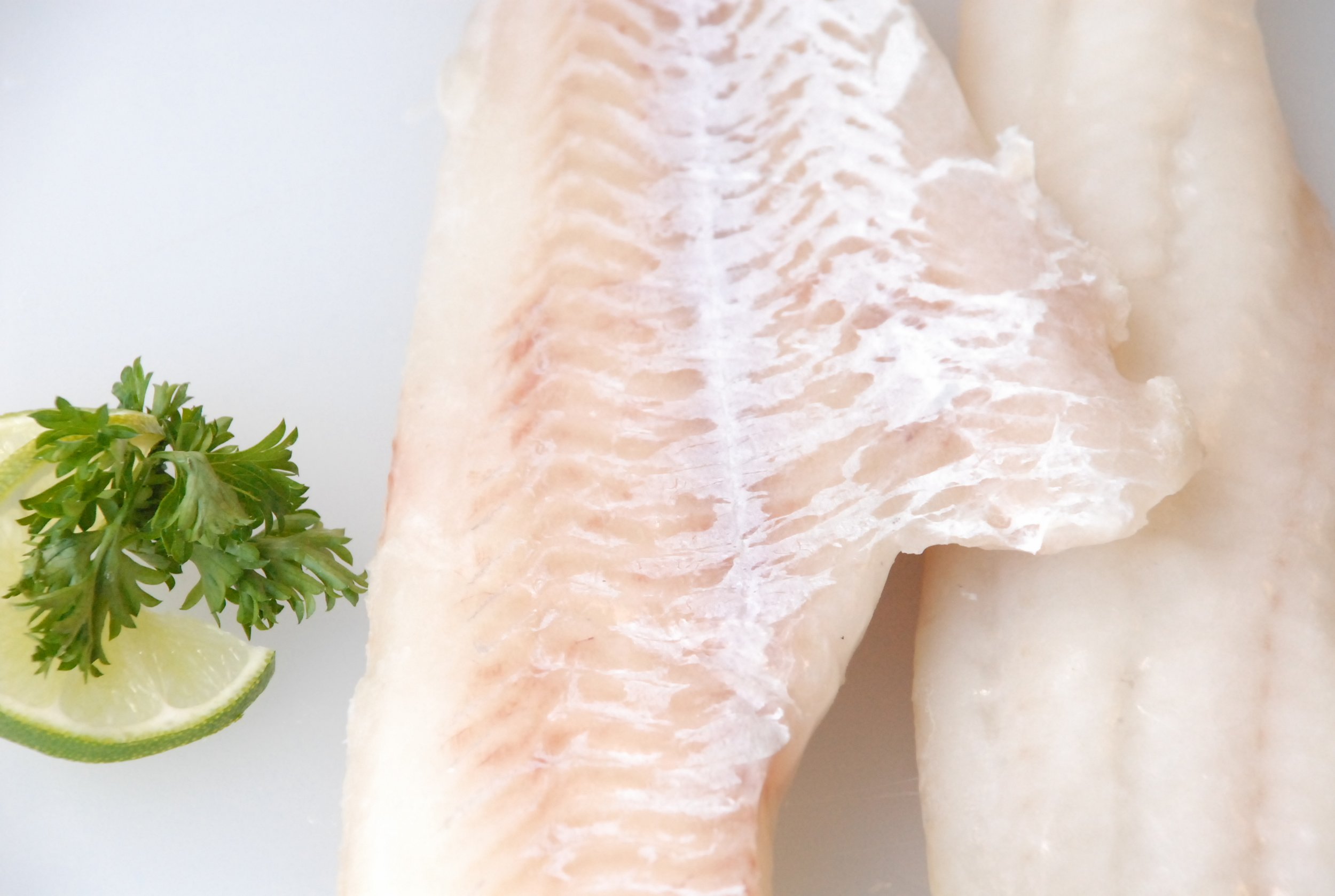 FROZEN SEAFOOD PRODUCTS