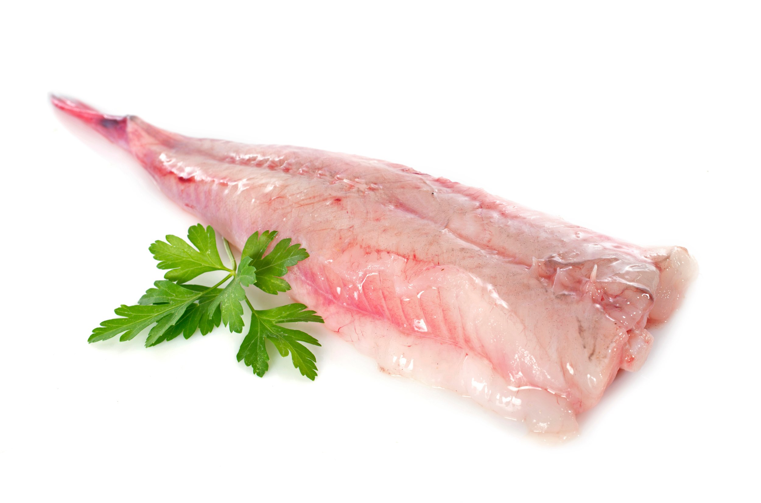Frozen Monkfish Fillet