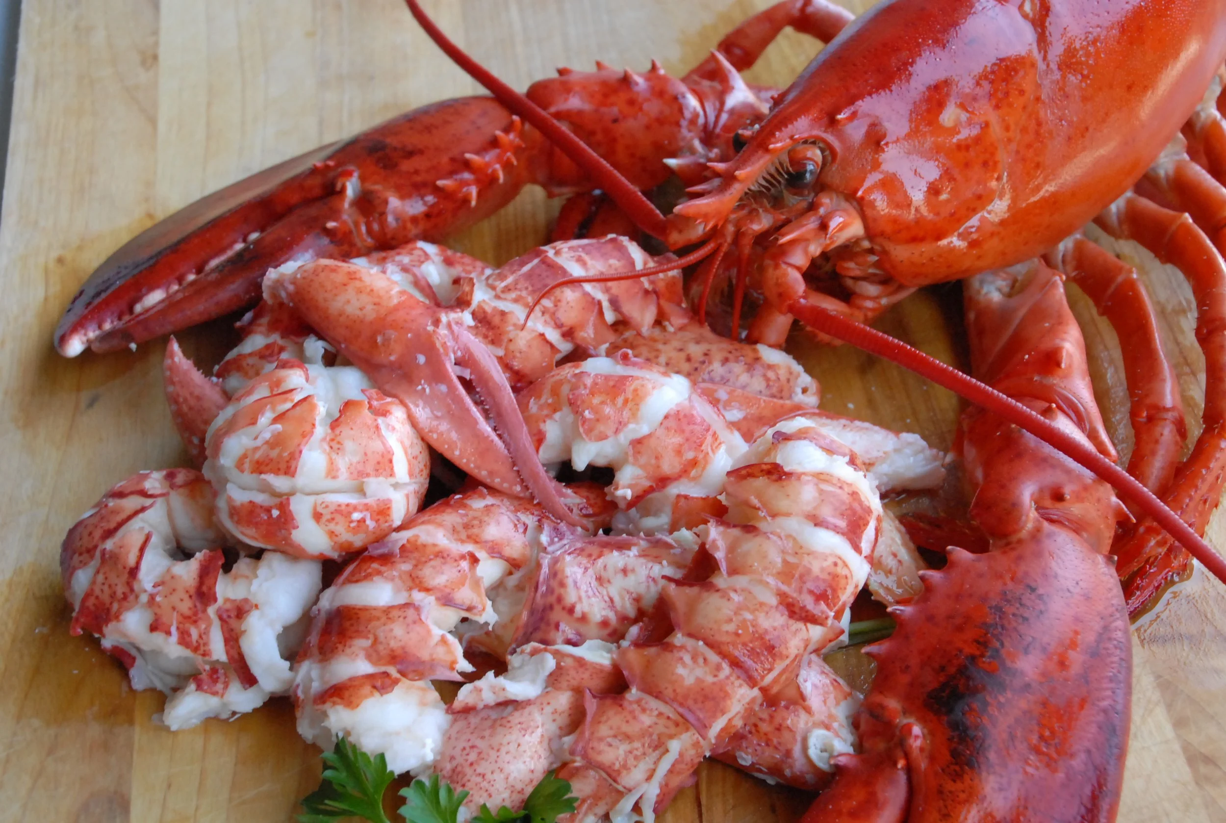 Frozen Raw Lobster Roe — Intershell Seafood