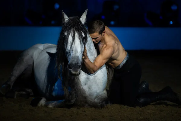 Dancing with Horses — Studio 1