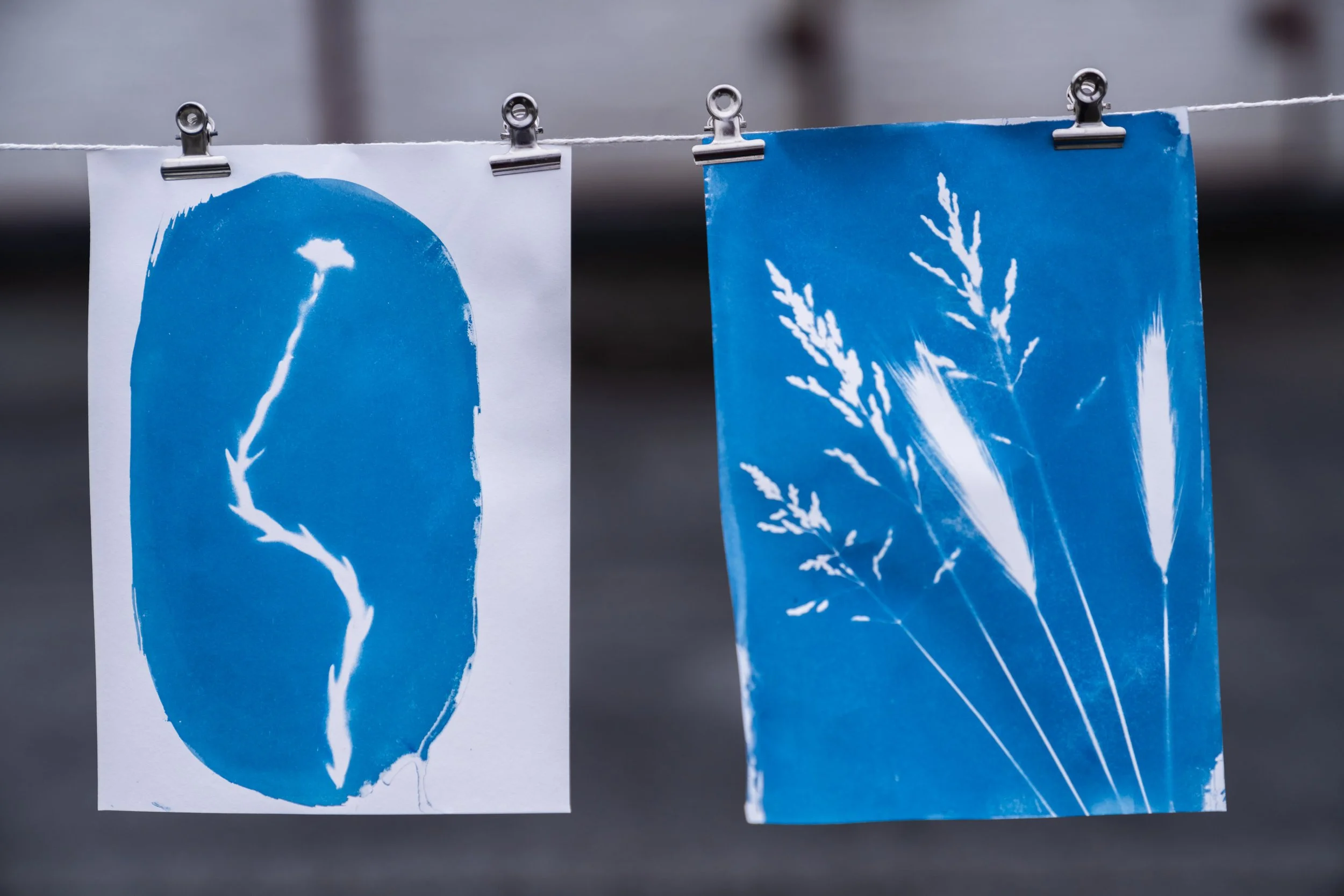 Workshop: Introduction to Cyanotypes (in person)