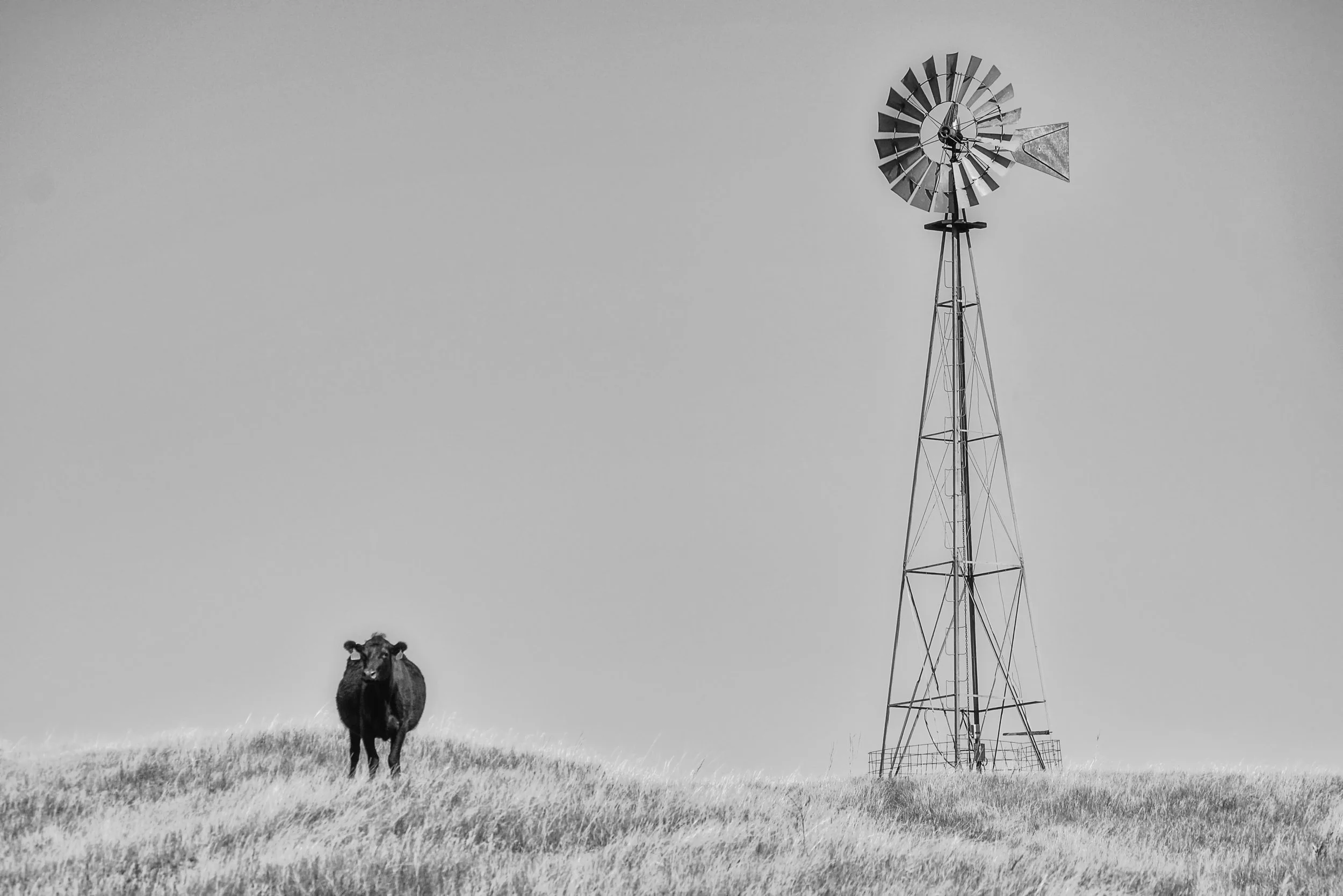Callaway windmill-Edit-Edit-Edit.jpg
