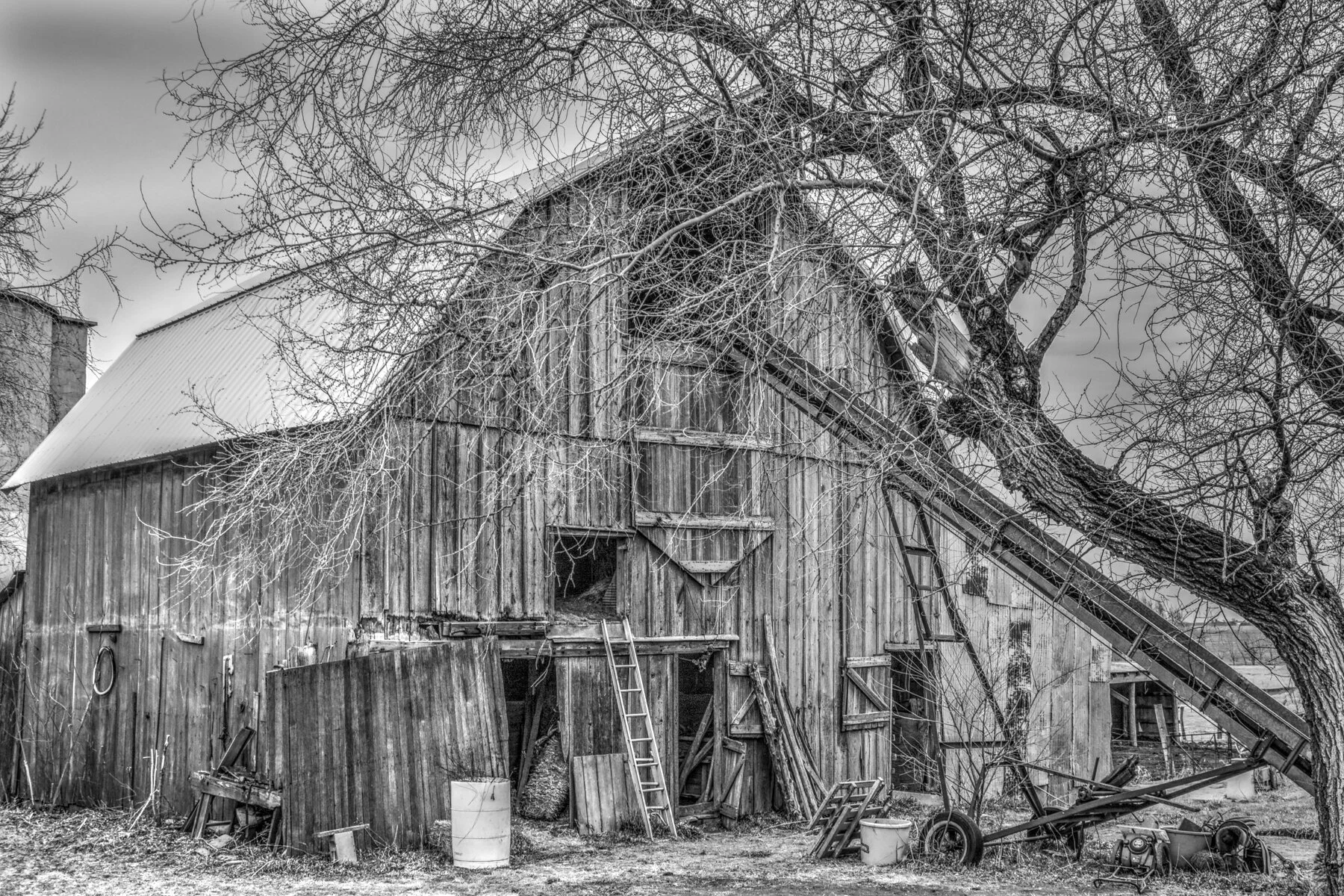 Emily's barn.jpg