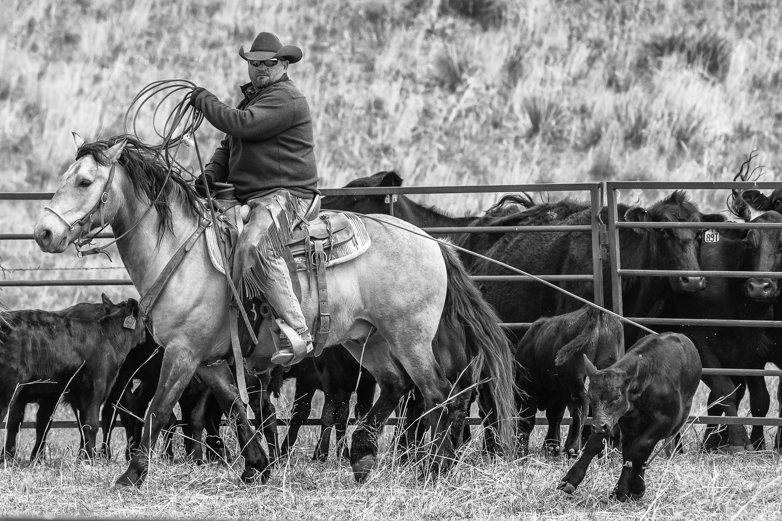 2022 McNutt branding-480-Edit-Edit.jpg