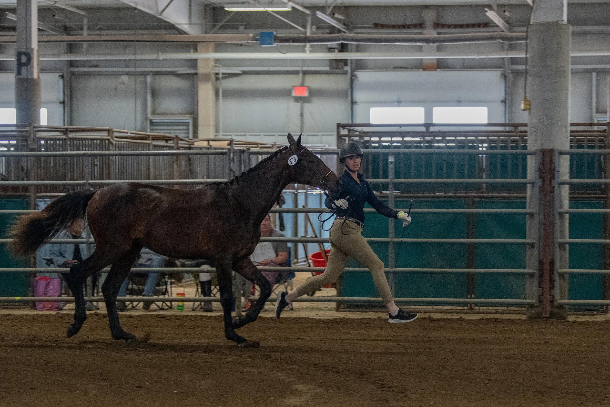DSC_1763-Edit.jpg