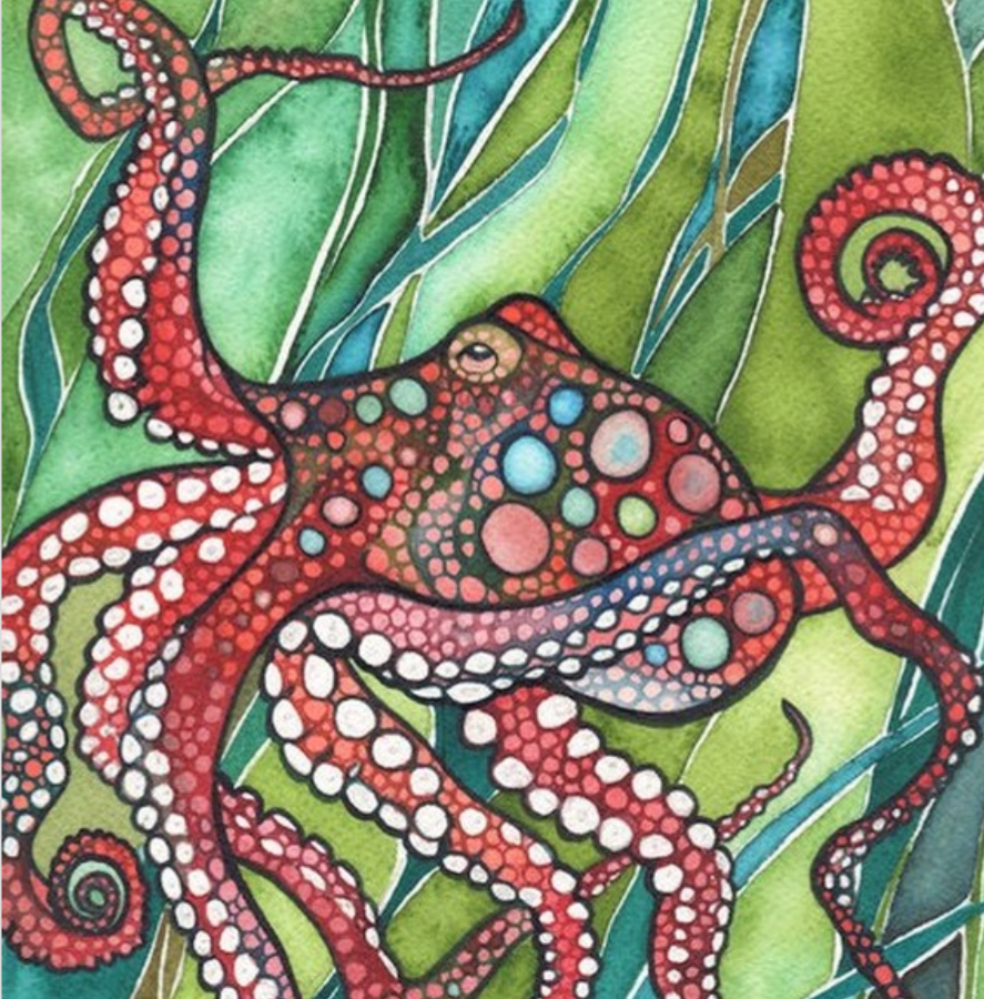 Octopus_Pauline Finn.png