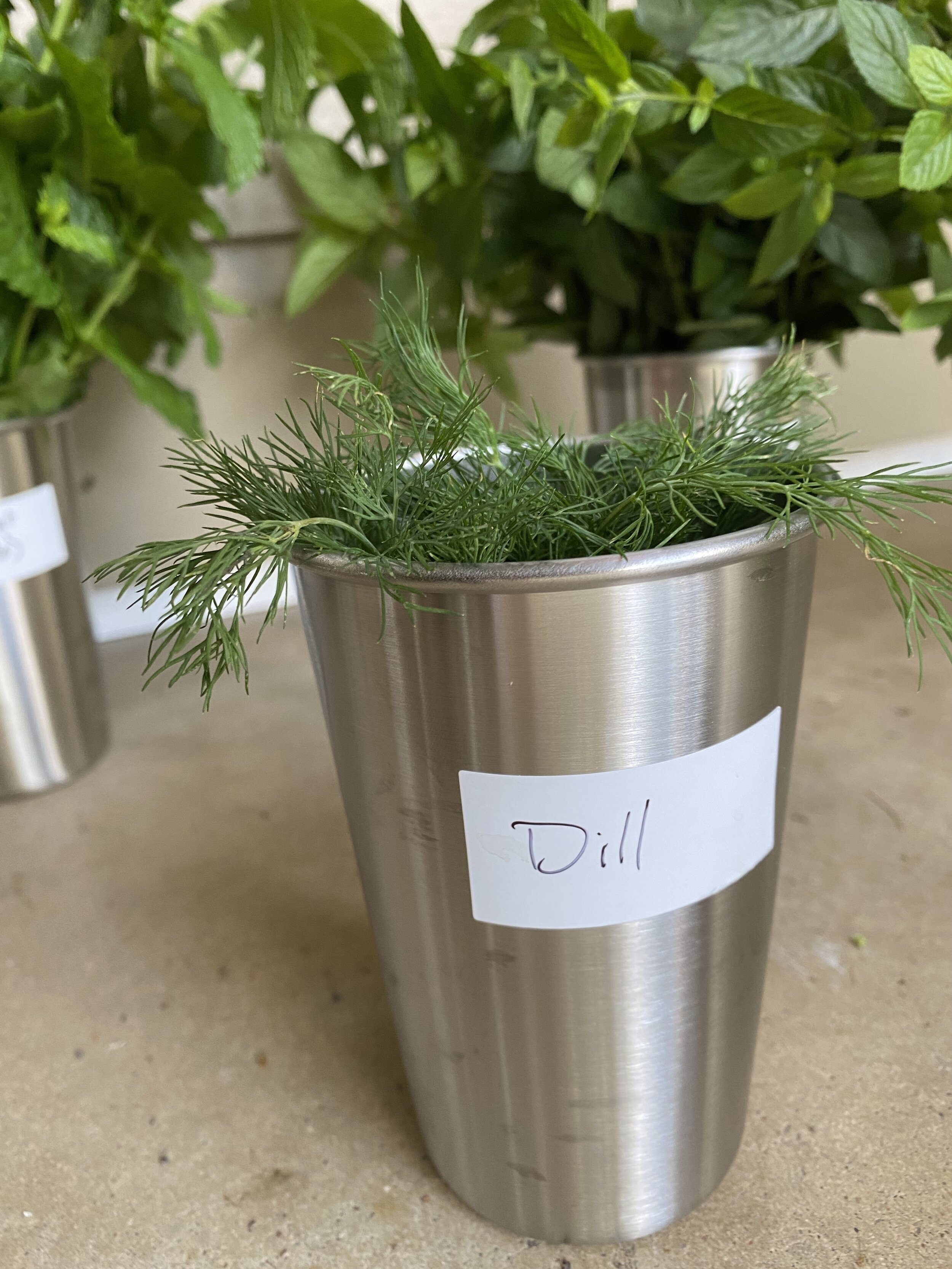Dill