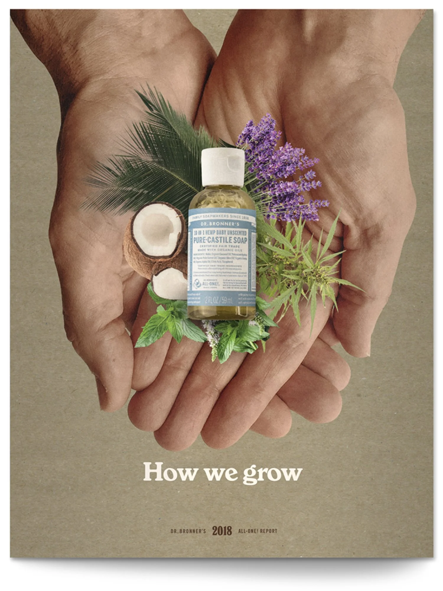 All-One Report-Mockup-2018.jpg